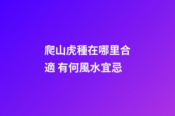爬山虎種在哪里合適 有何風水宜忌